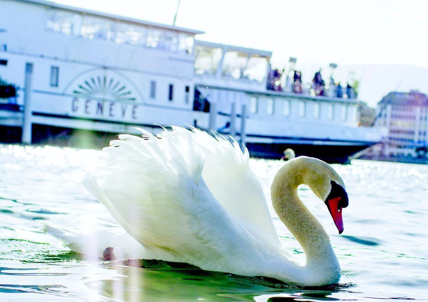 Hotel Strasbourg Hotel 3*